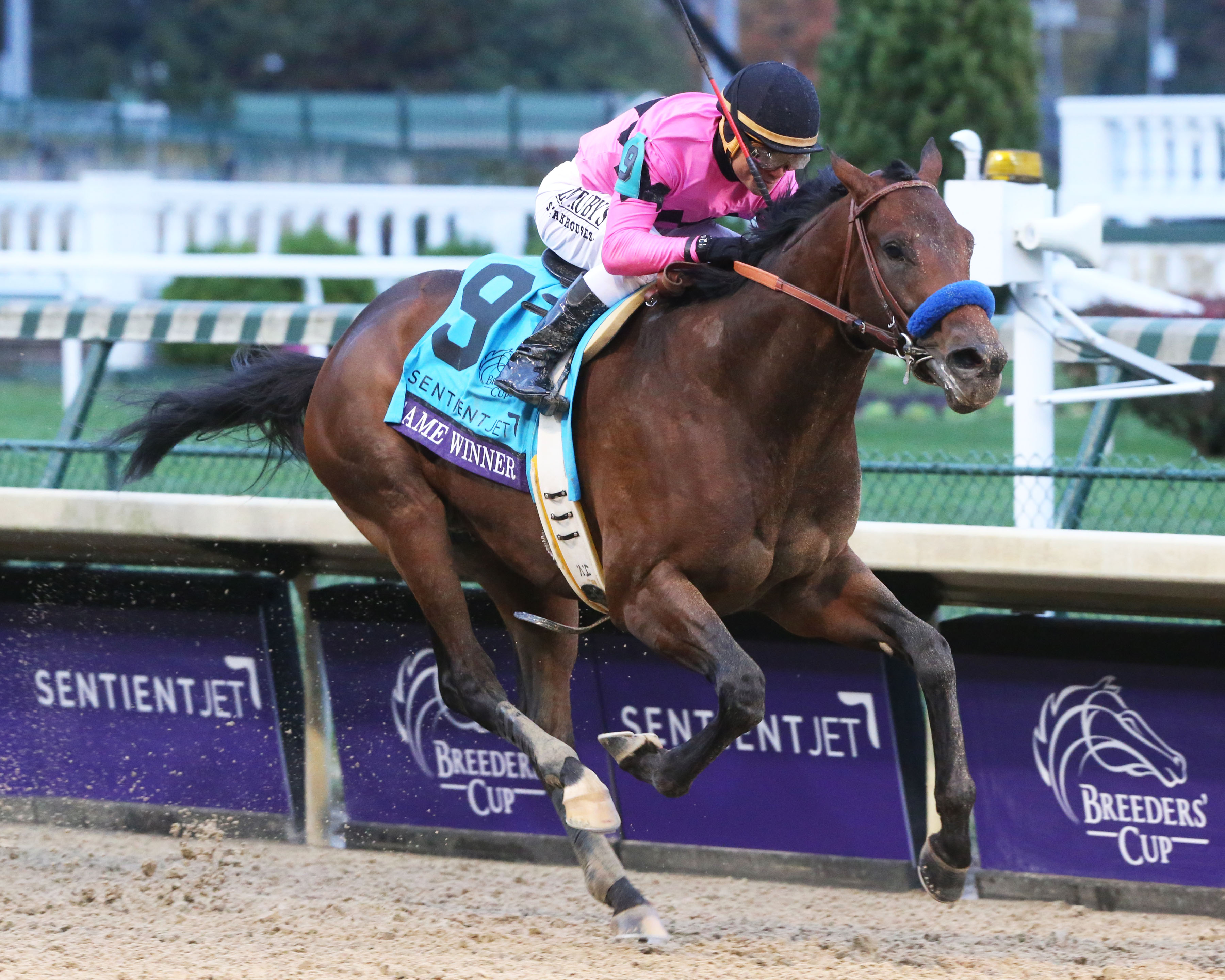【北米競馬】レーンズエンドファーム 2021スタリオンブック 北米競馬】レーンズエンドファーム 2021スタリオンブック